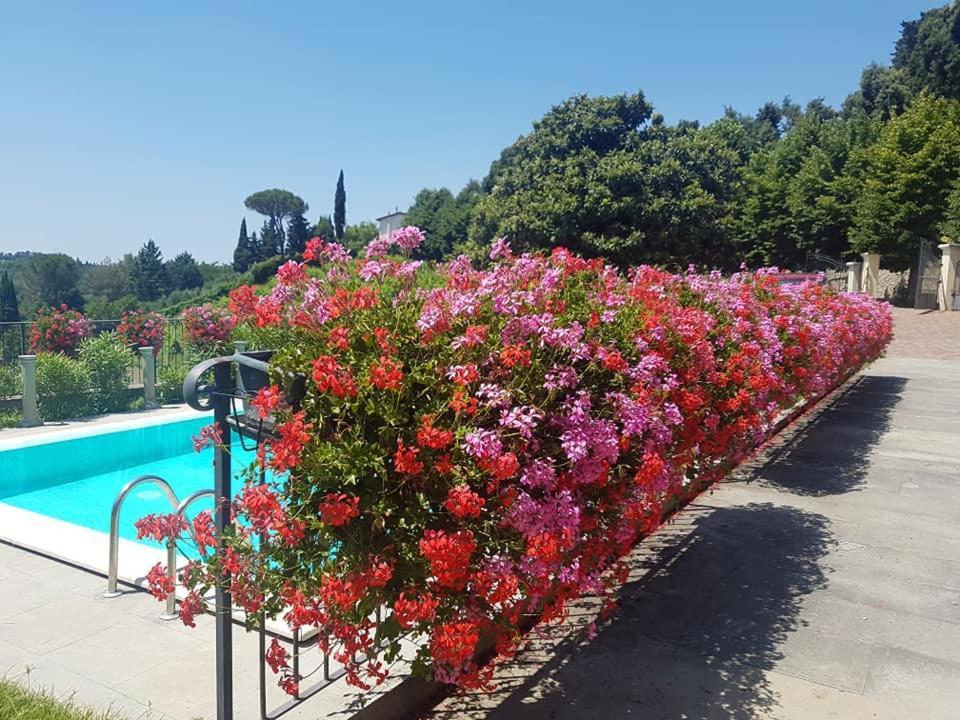 Residence Il Vigneto Lari Exterior foto